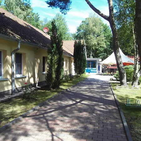 Heideperle Росток